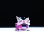 Dior Collaborations F933 PEX MISS DIOR JCHICAGO 24 P03E COFFRET DETAILS_L4_F39