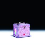Dior Collaborations F933 PEX MISS DIOR JCHICAGO 25 P01 COFFRET FERME F39
